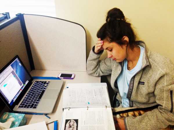26 Things I'd Rather Do Than Study