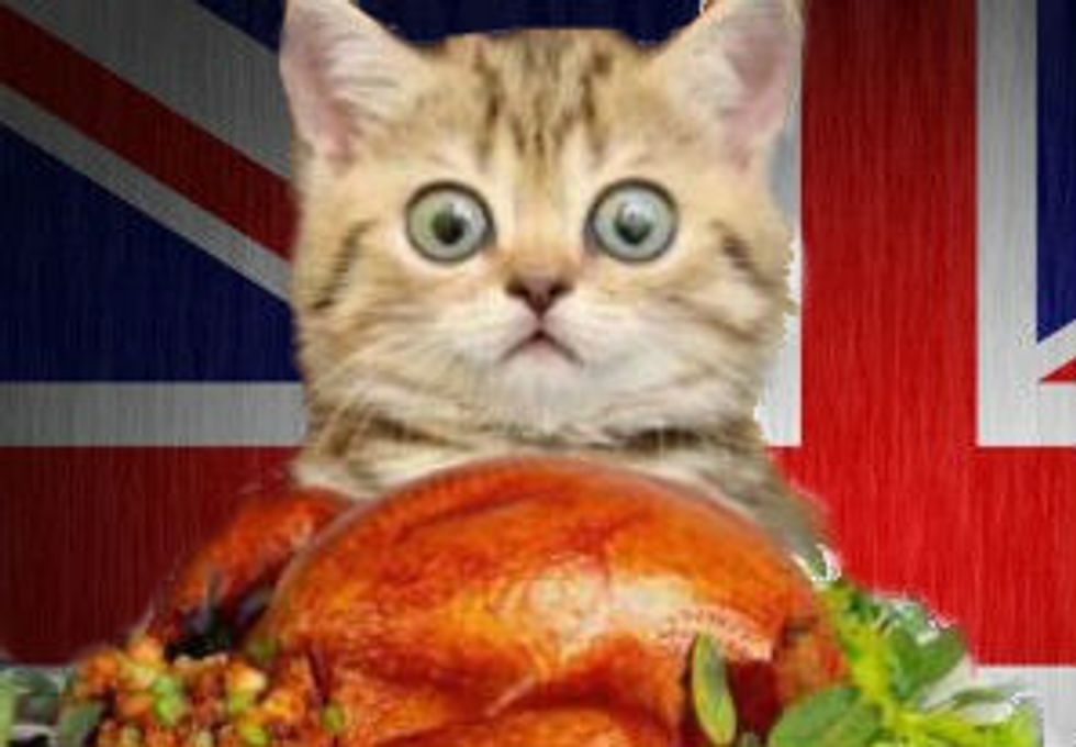 A Foreigner's First Experience of Thanksgiving In America