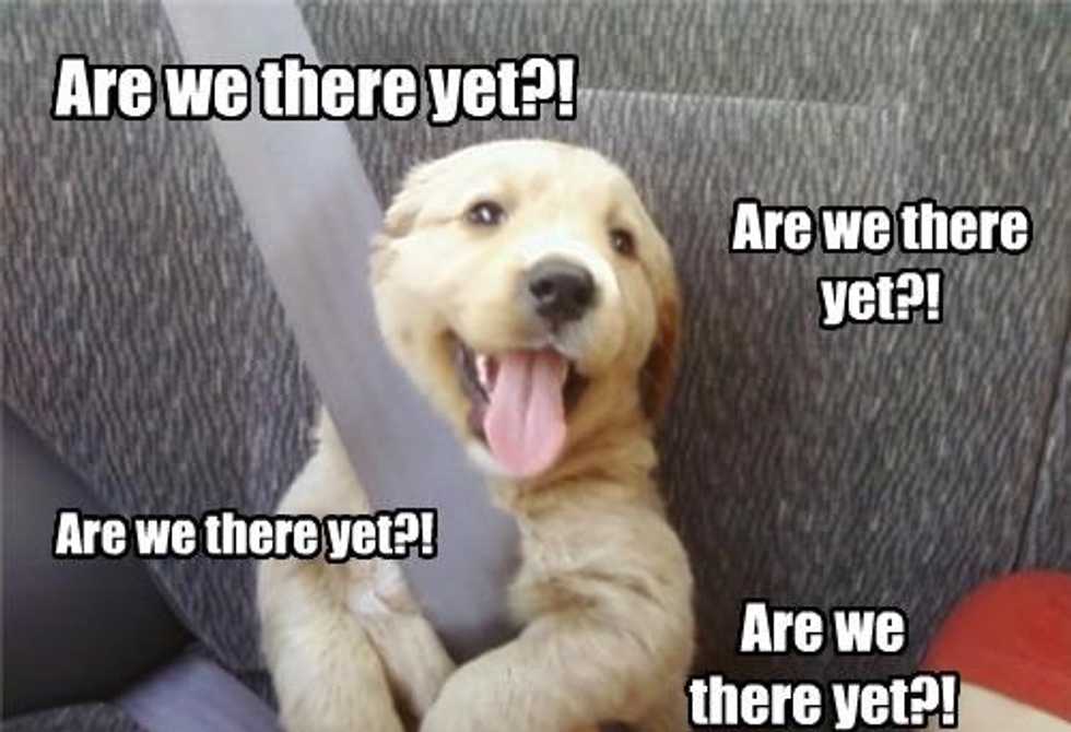 How To Survive Family Vacations