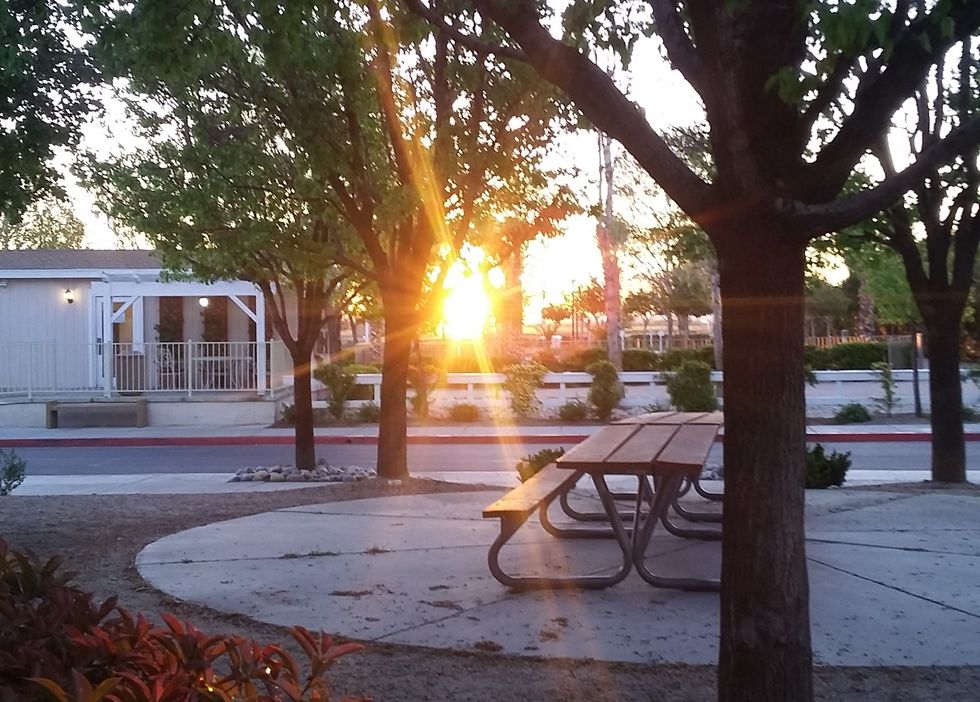 The Opinions Of Others