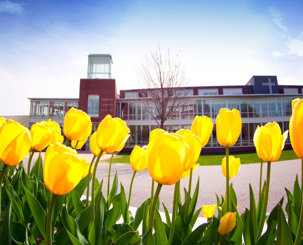 When I Was A Freshman...