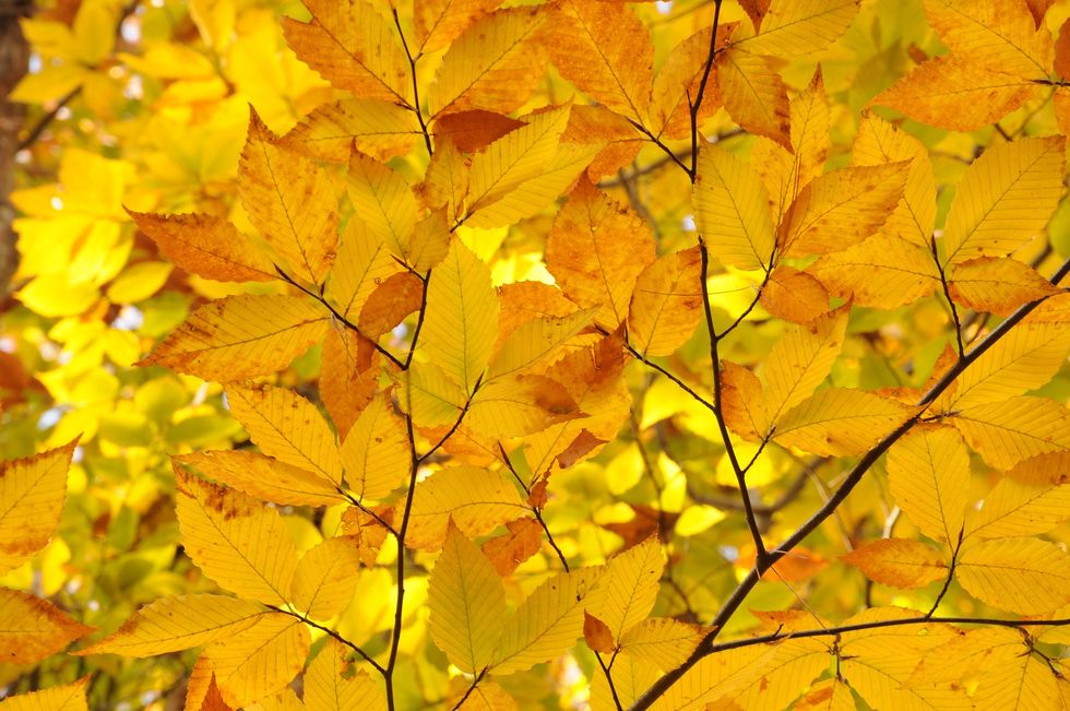 11 Reasons to Love the Fall