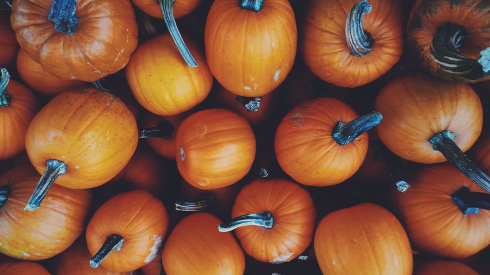 7 Pumpkin Spice Products To Look Forward To This Fall