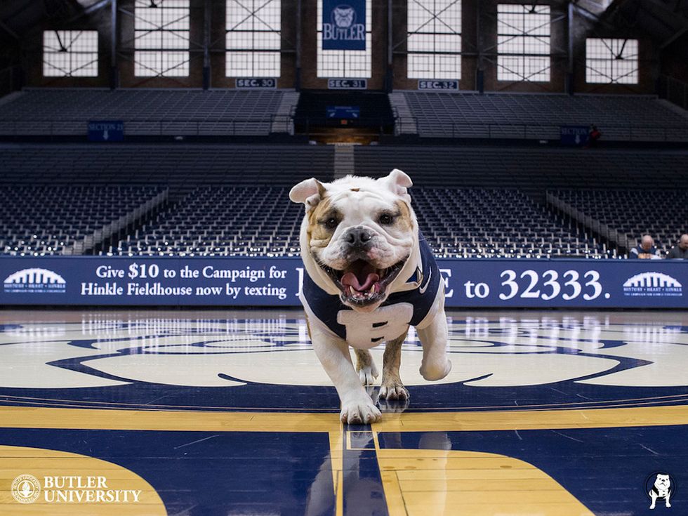 Butler Is More Global Than You Think