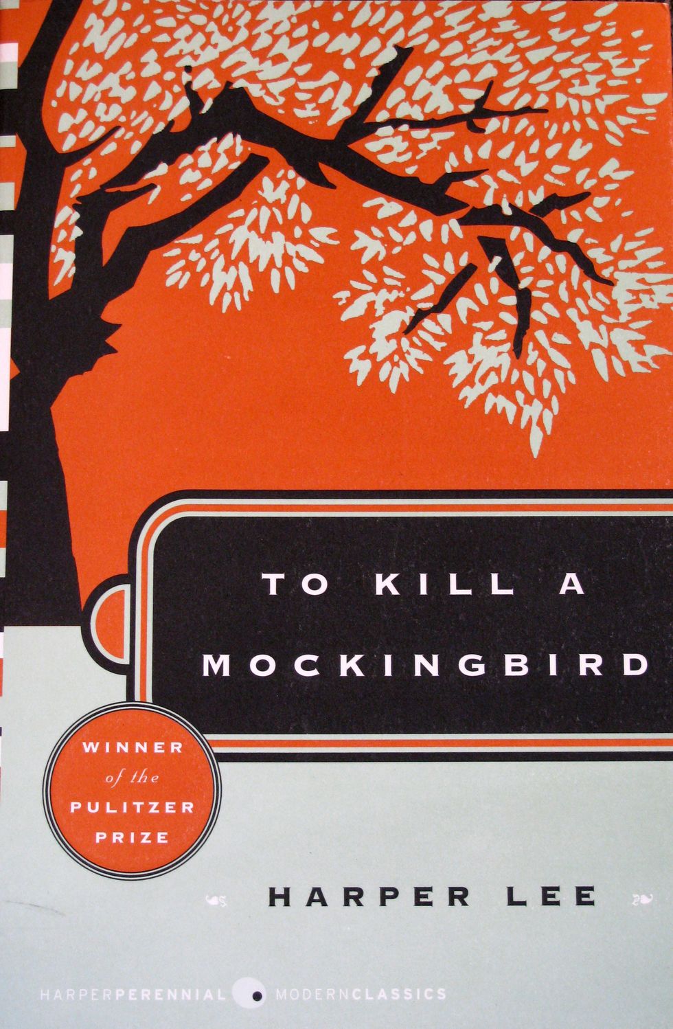 Lessons Learned From "To Kill A Mockingbird"