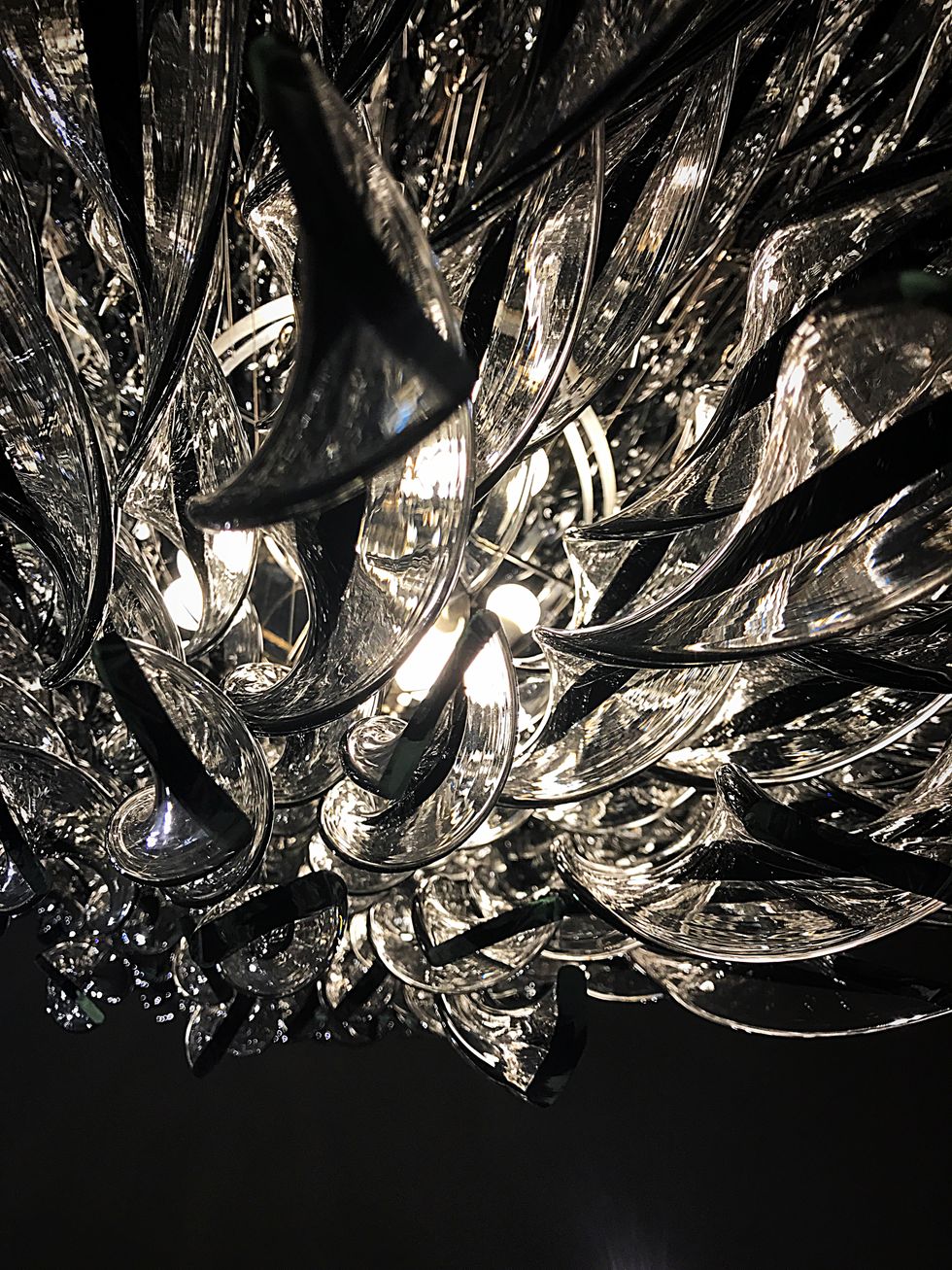 The Light Reflection