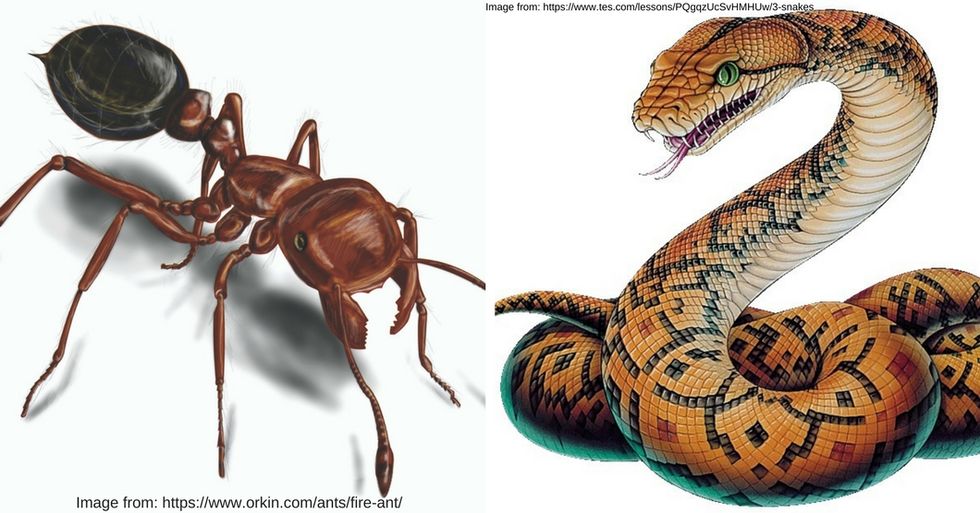 Poem: A Conversation With The Husband