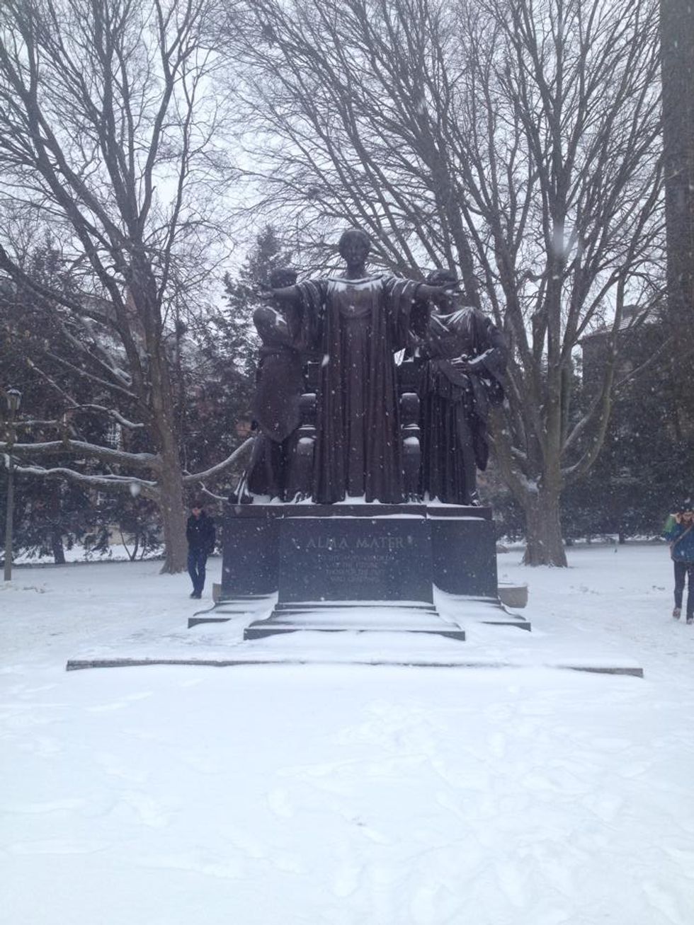 7 Must-Have Items for Surviving Winter at UIUC