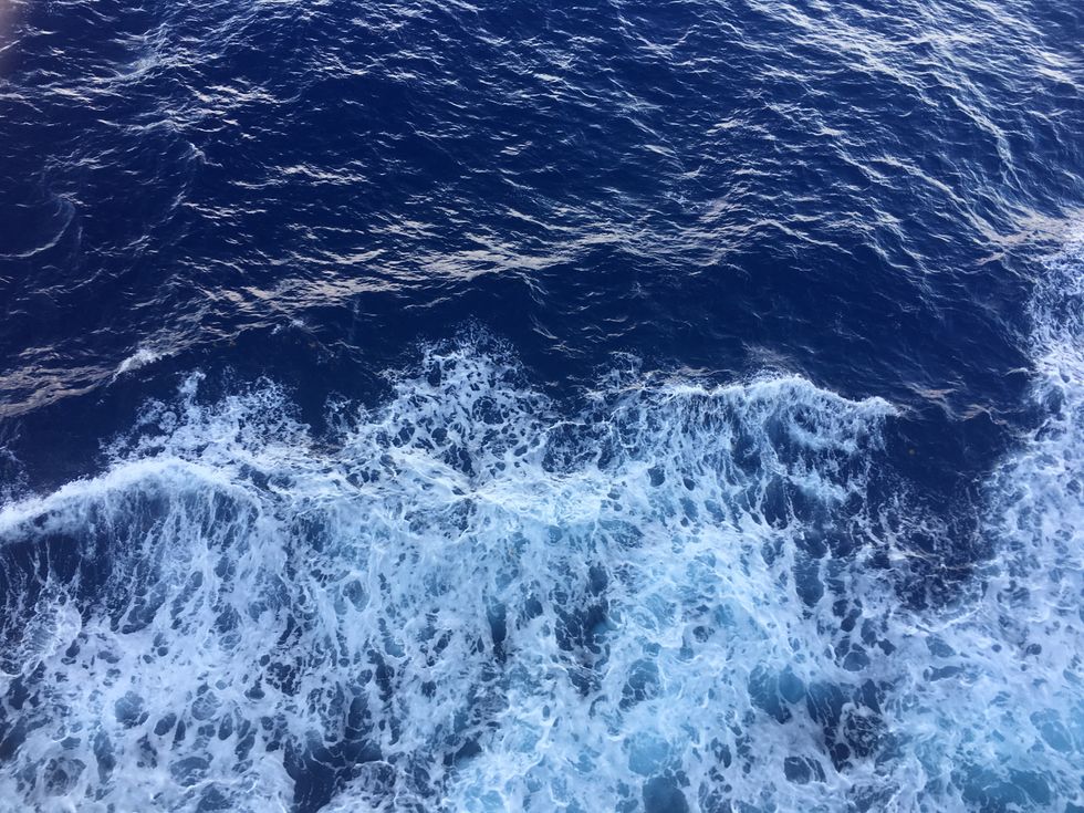 Thank You, Summer 2017