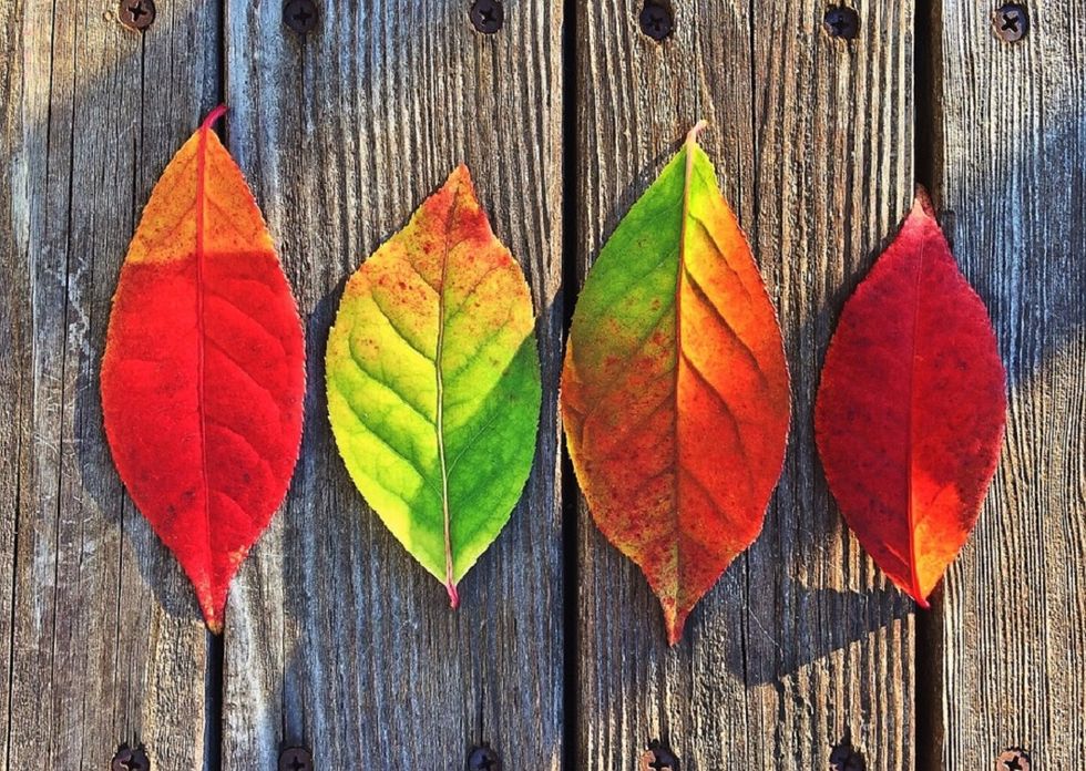 16 Reasons Why Fall Is Actually The Best Season