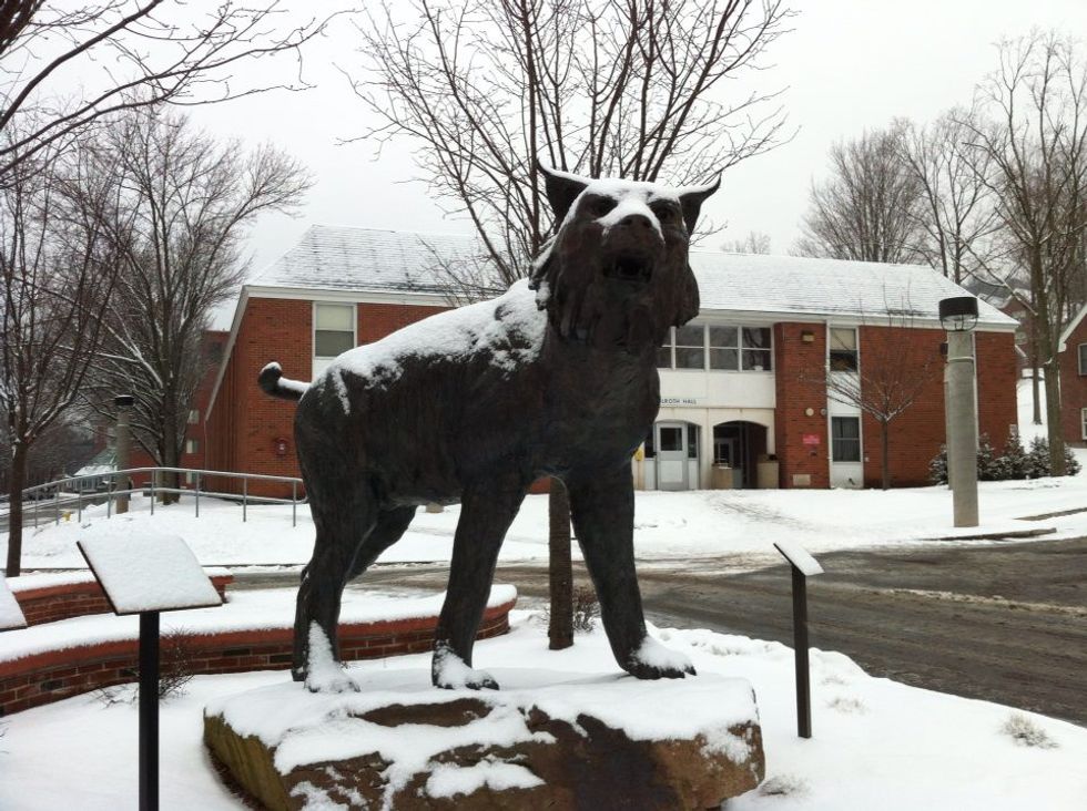 11 Things QU Students Do In The Fall (Because We're A Little Basic)