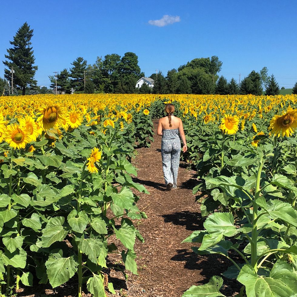 I Am Single Because I Refuse To Settle