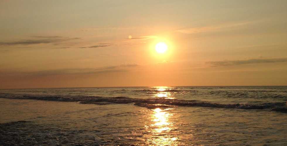 Achieving Happiness With Aristotle And The Dalai Lama