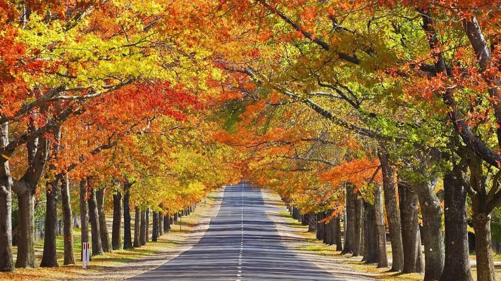 8 Things You Look Forward To In The Fall Season