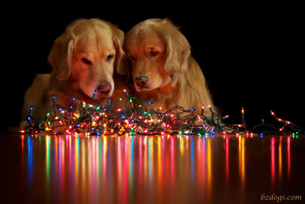 6 Ways To Decorate Your Dorm For Christmas