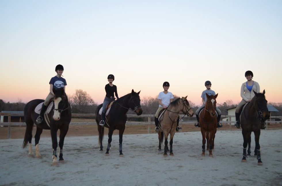 What Horses Teach Us