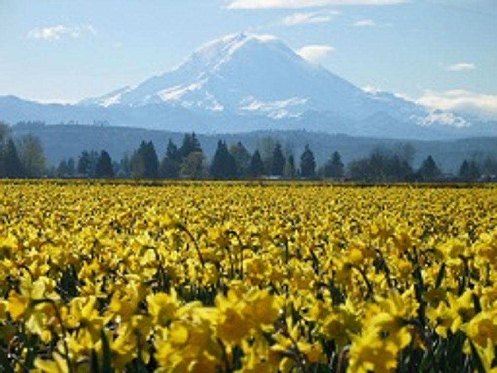 30 Signs You Grew Up  In Puyallup, WA