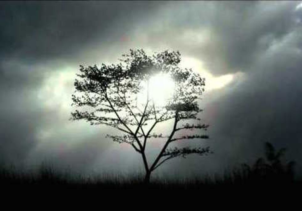 "I Am Not What Happened to Me"