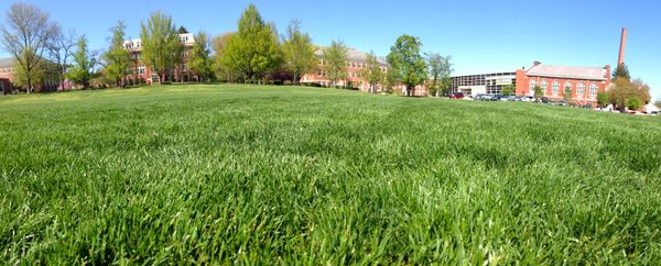 Why I Transferred Out Of A School I Didn’t Actually “Hate”