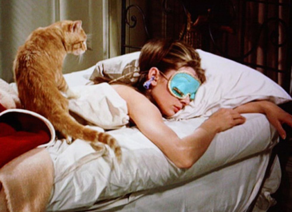 Why Every Girl Should Act Like A Cat