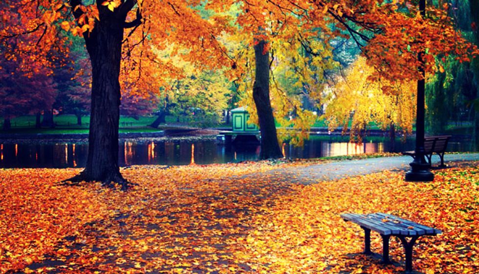 10 Reasons To Be Excited For Fall