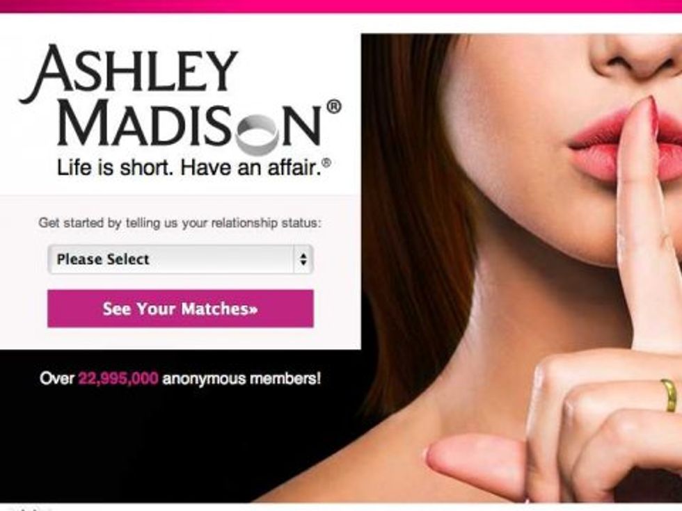 The Implications of the Ashley Madison Hack