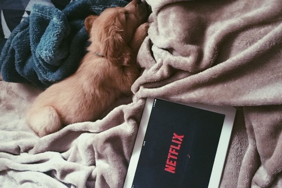 The 7 Best Shows To Binge-Watch On Netflix