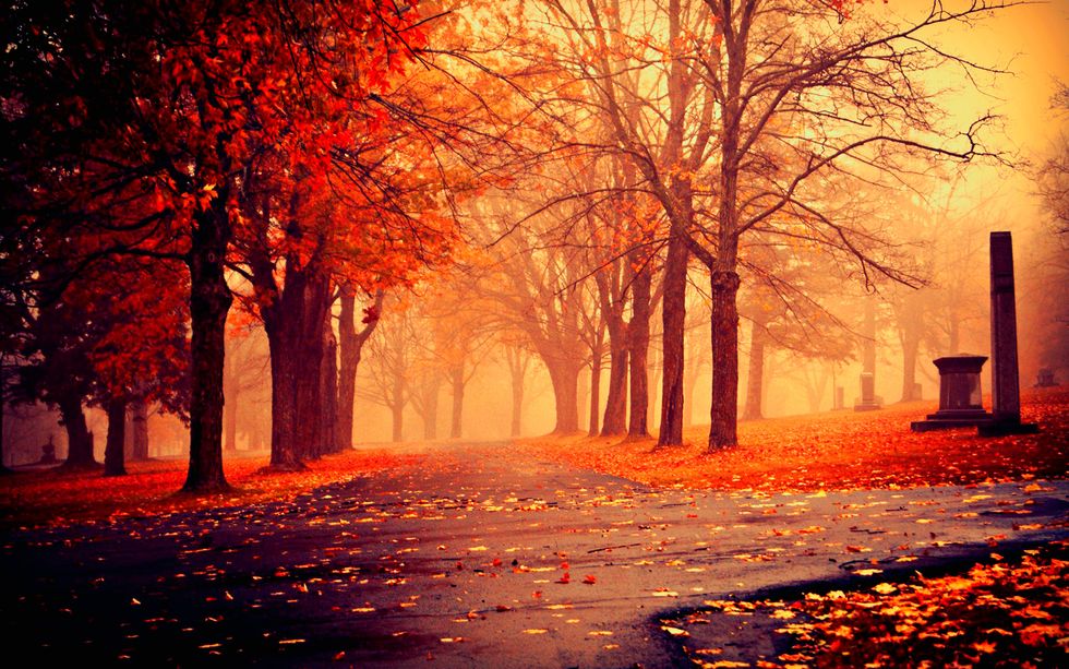 17 Signs That Fall Is Here