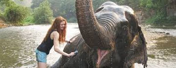 5 Reasons You Shouldn't Study Abroad