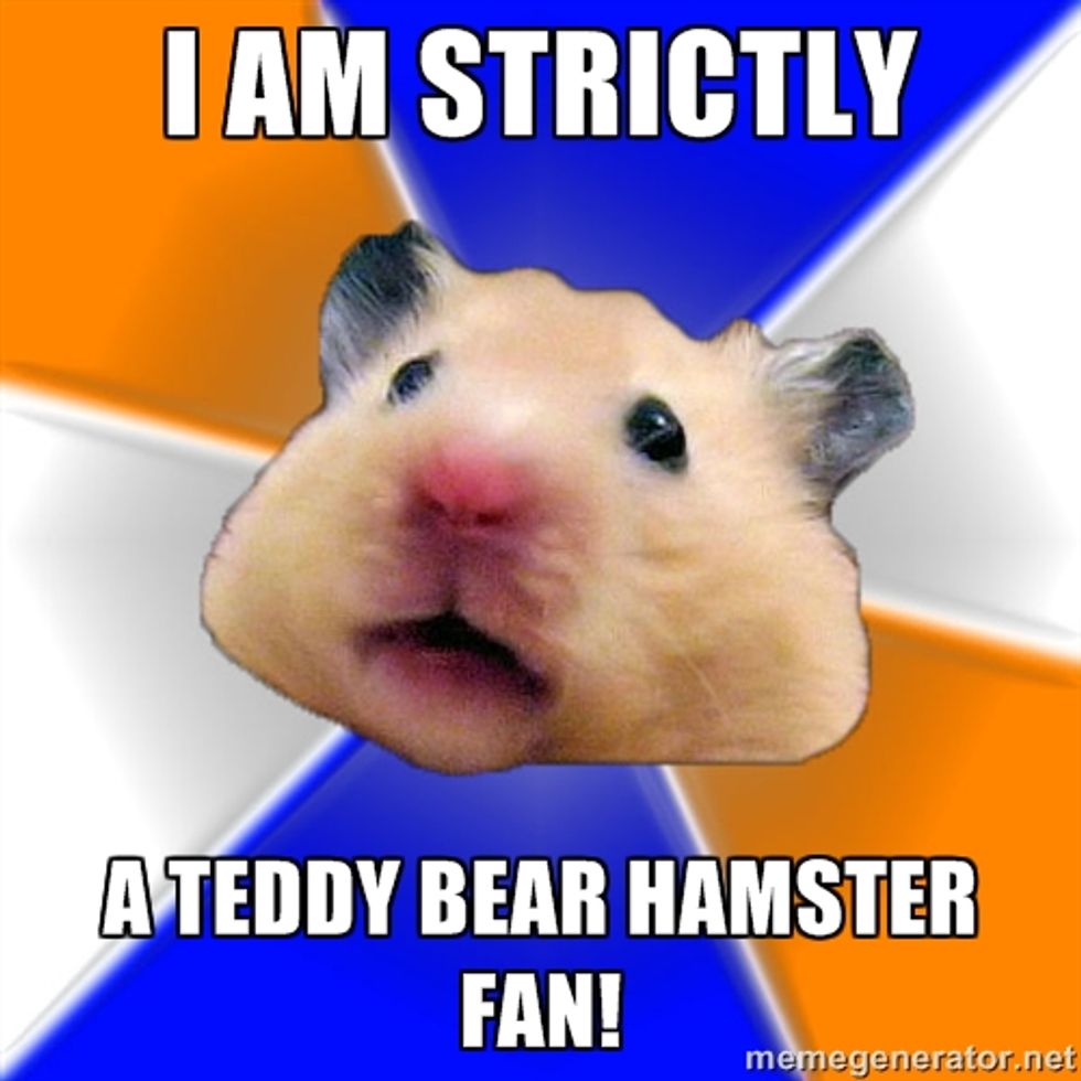 Five Lessons I Learned From My Hamster