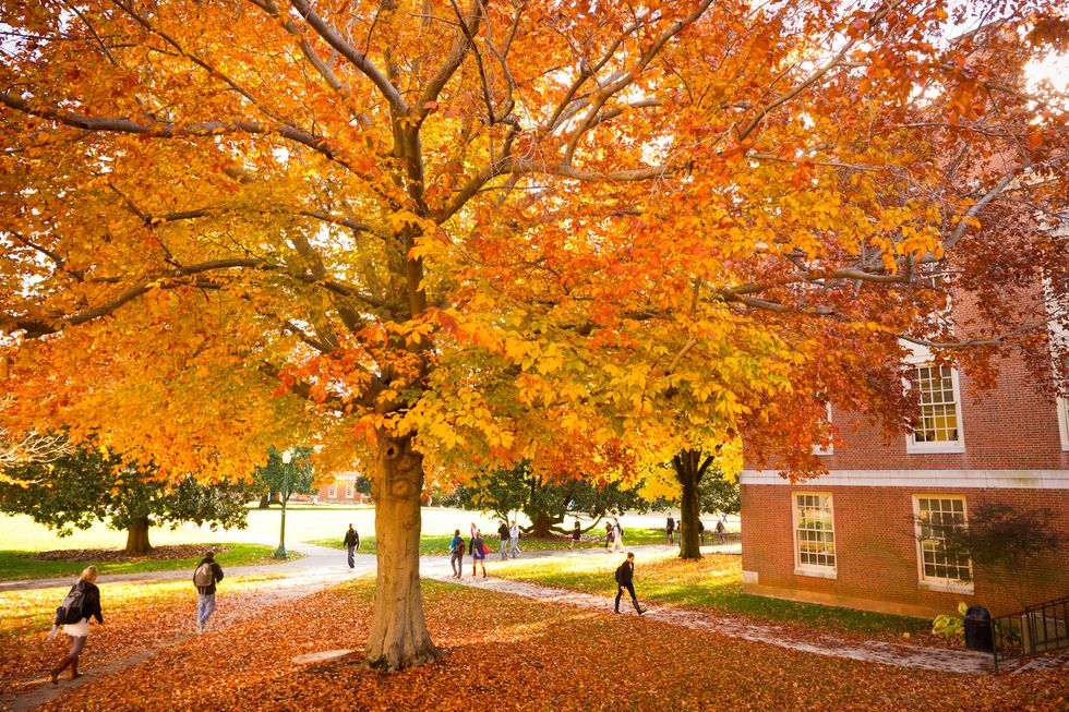 The Best Fall Activities in Winston-Salem