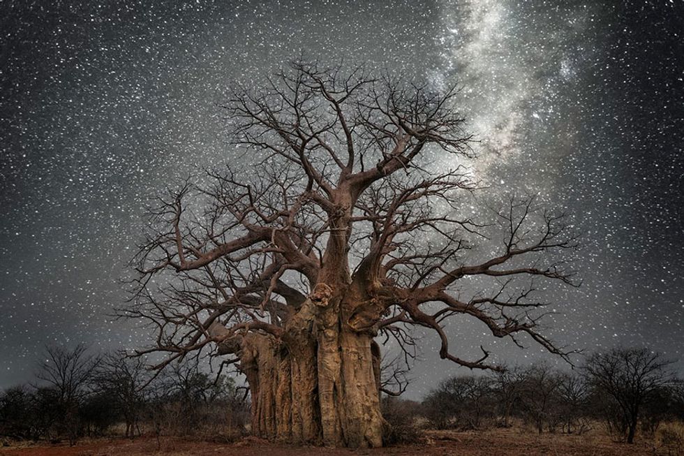 I Will Always Love You