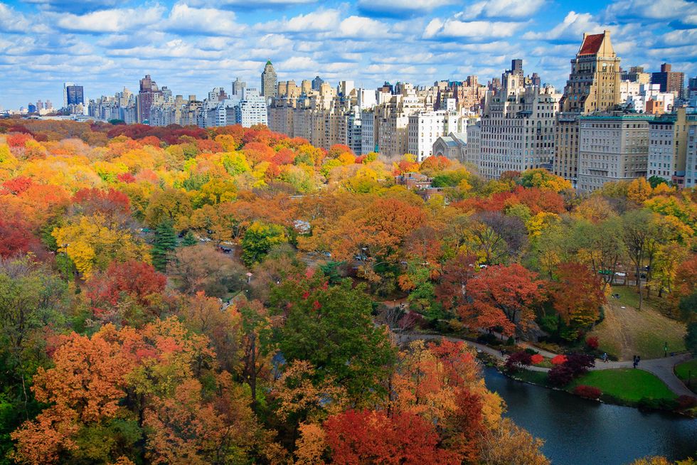 30 Things That Belong On Your NYC Fall Bucket List
