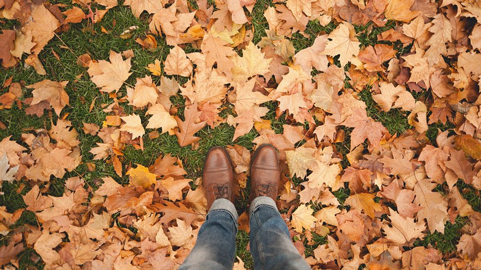 Top 10 Reasons Why Fall Is The Best Season