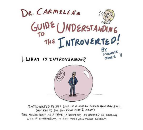 Introversion Demystified