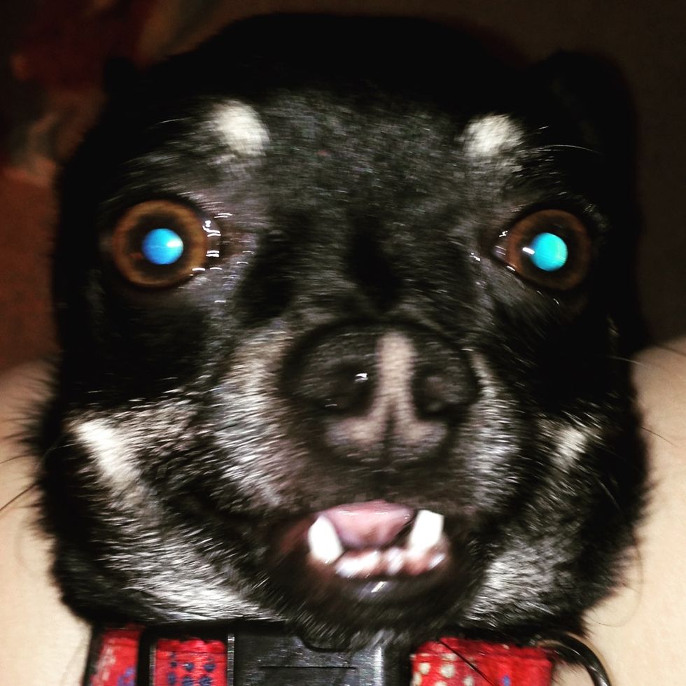 If I Had A Dollar For Every Time...