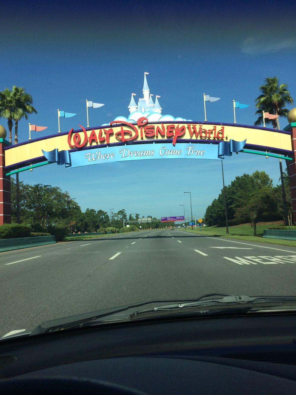 The Magic of the Disney College Program Experience