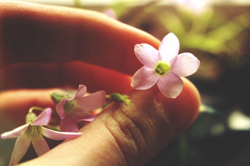 Dear Role Model, Thank You