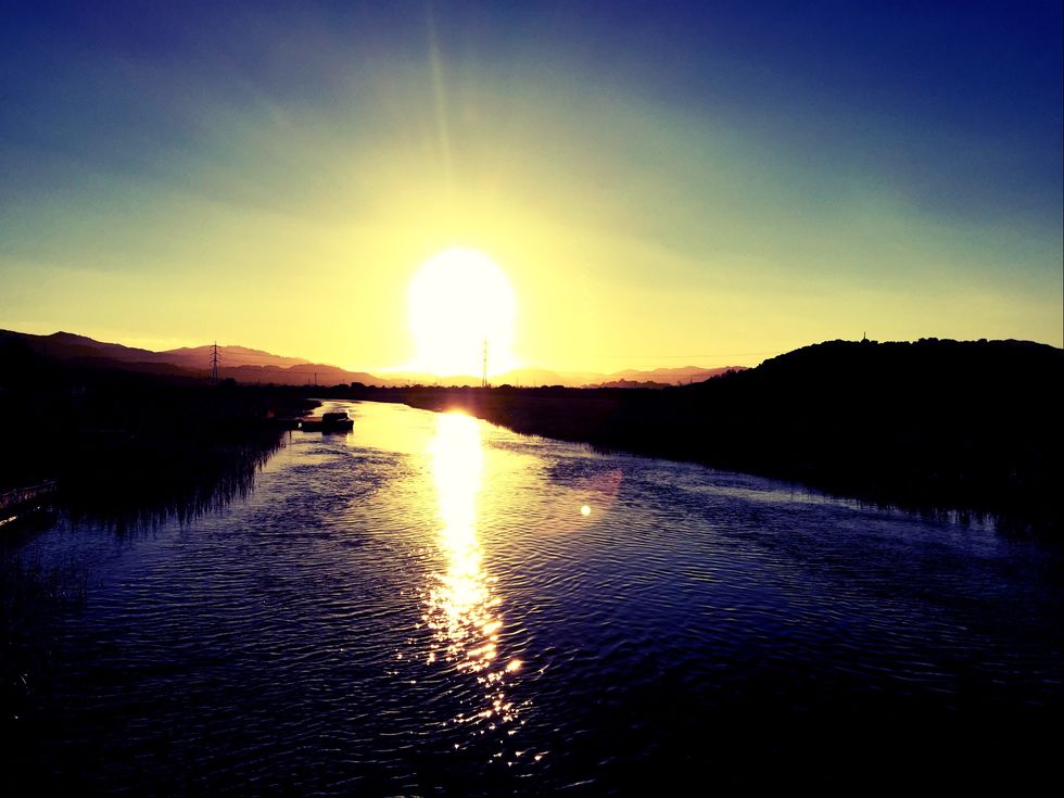 Growing Up Gay In A Heteronormative World