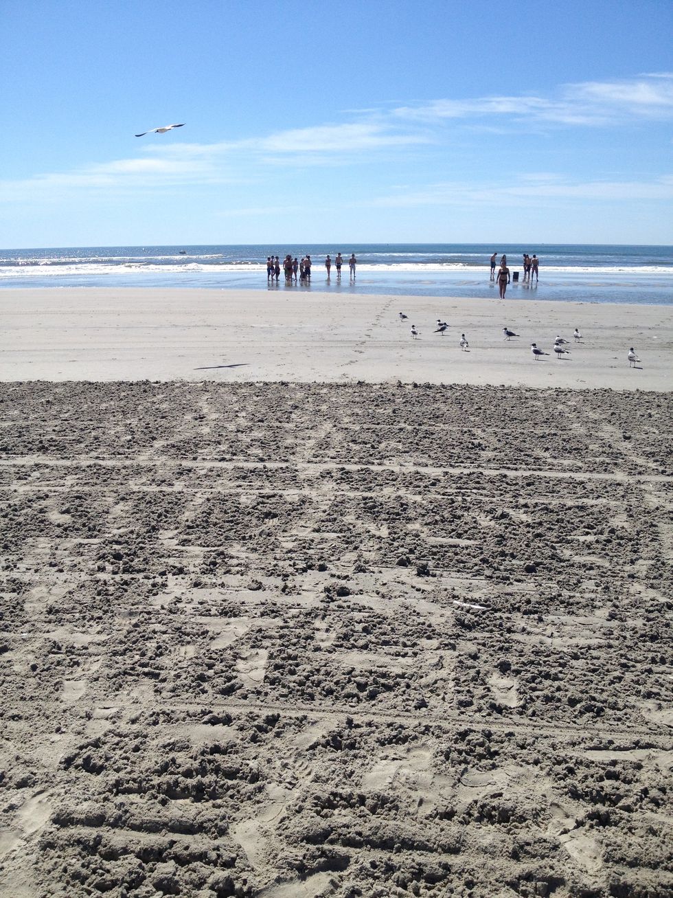 Yearning for the Ocean