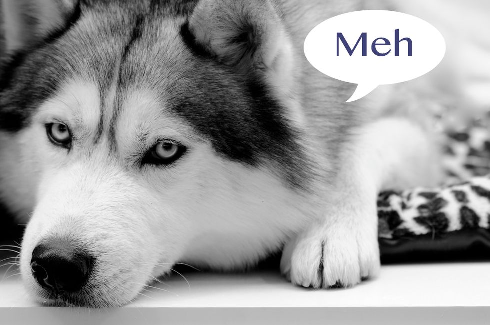 Why Millennials Are The Apathetic Generation