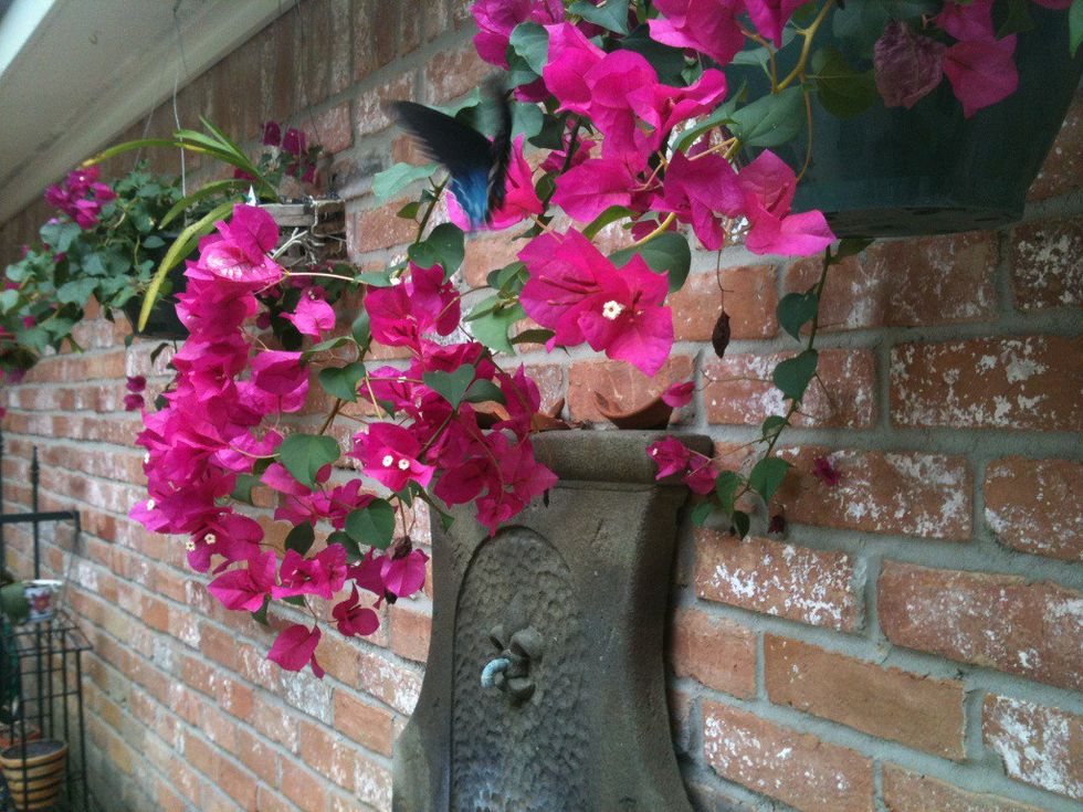 Is Love Strong Enough