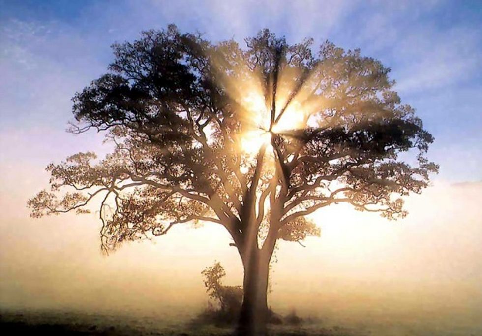 50 Things To Smile About