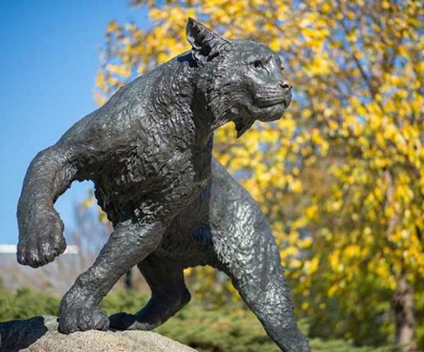 10 Things To Not Take For Granted About UNH