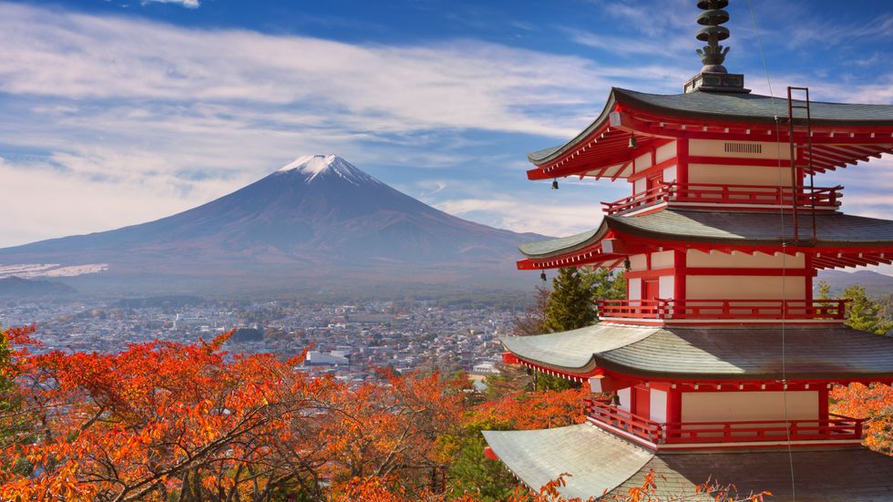 A College Student's Guide To Japan