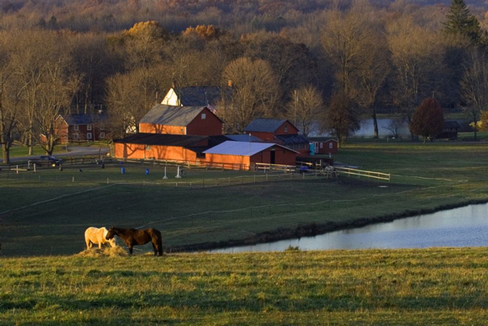 Life Lessons From The Farm