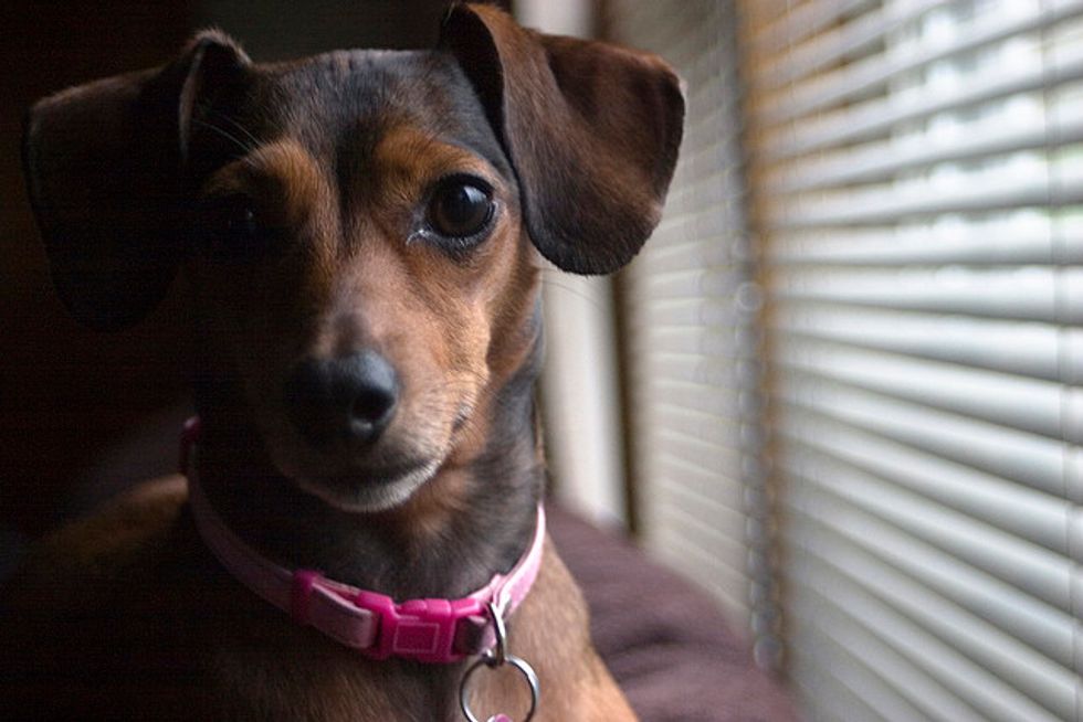 An Open Letter To My Best Friends