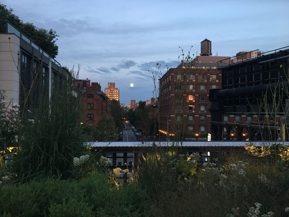 My Five Favorite Things About New York City