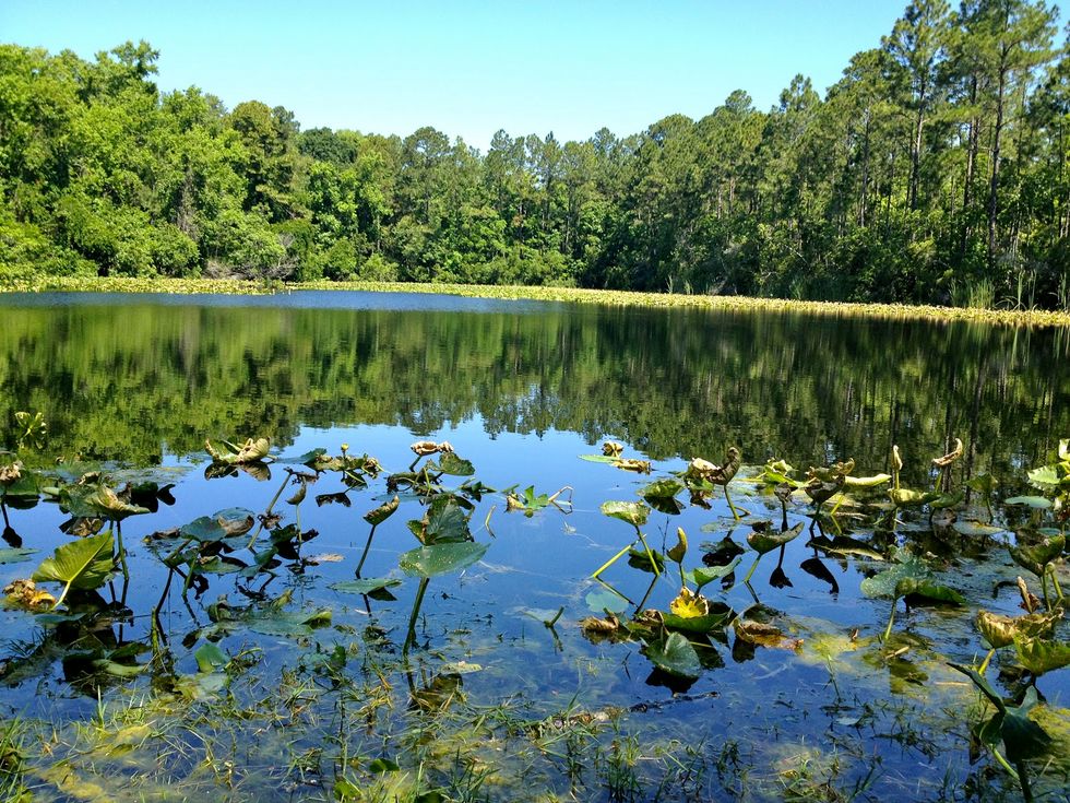 5 Tips For Going Into A New Semester