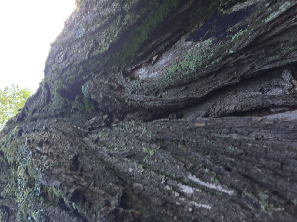 10 Cross Country Pre-season Feels